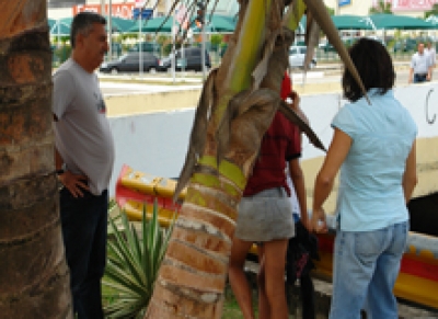 Crianças em situação de rua de 4 municípios deverão ser inseridas em programas sociais