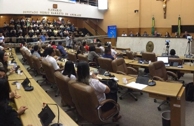 Juíza Coordenadora da Infância participa de audiência pública sobre combate ao trabalho infantil