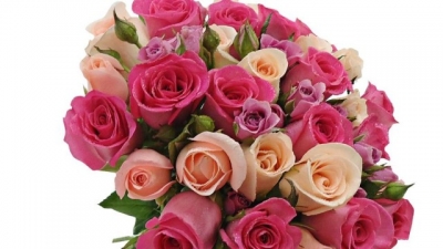 Dia das Mães: mensagem da Vice-Presidência