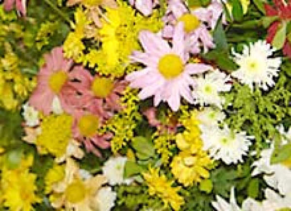 Missa de 7° Dia acontece segunda