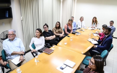 Comitê Estadual de Saúde se reúne com gestores do Poder Executivo para discutir aumento da judicialização