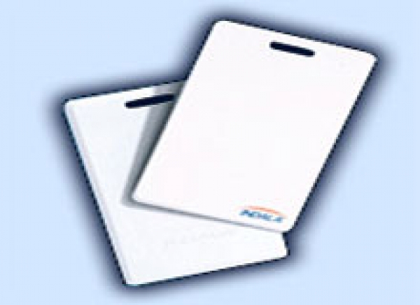 Distribuição de crachá funcional do TJSE