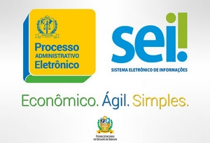 Sistema Eletrônico de Informações registra mais de 30 mil processos em um ano