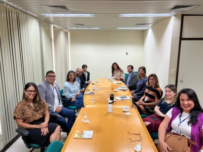 Servidores apresentam soluções inovadoras no Comitê da Rede de Inovação e Aceleração de Resultados do TJSE