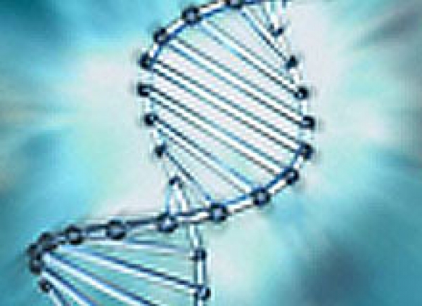Exames de DNA - Licitação - Pregão Eletrônico