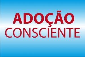 Dia da Adoção: Pleno aprova resolução que amplia oferta de curso para adoção