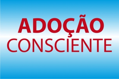 Dia da Adoção: Pleno aprova resolução que amplia oferta de curso para adoção