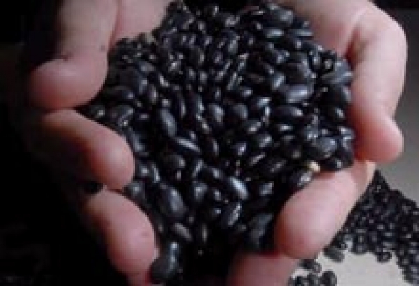 Justiça seja feita: 1 kg de alimento pode fazer a diferença