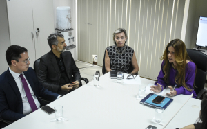 Comitê Estadual de Saúde debate Plano de Ação e atuação do NatJud na saúde suplementar