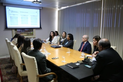 Resolução que institui Política Antimanicomial do Poder Judiciário é discutida pelo GMF