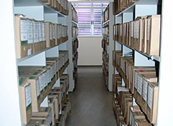 Mutirão envia quase três mil caixas para Arquivo