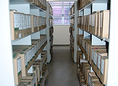 Mutirão envia quase três mil caixas para Arquivo