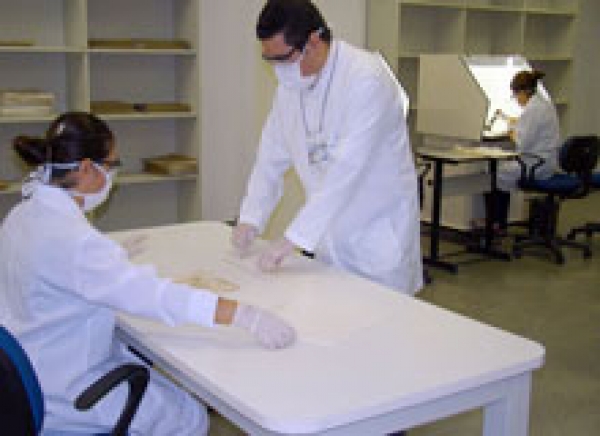 Arquivo Judiciário realiza oficina in-company para servidores municipais