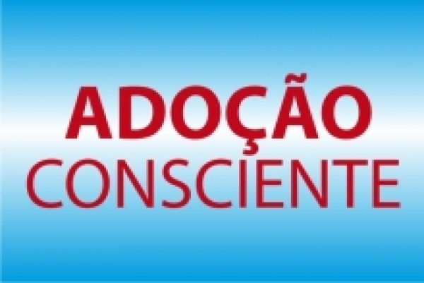 TJSE realiza 10ª edição de curso para pretendentes à adoção