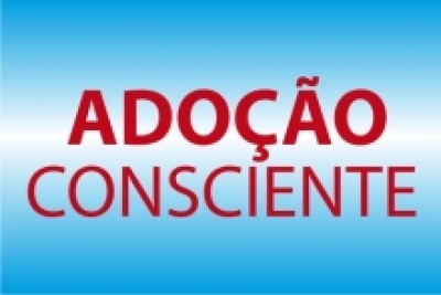 TJSE realiza 10ª edição de curso para pretendentes à adoção