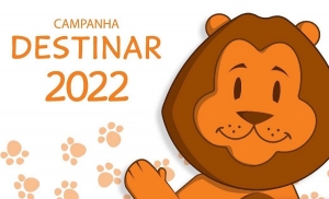 Destinar: doe parte do Imposto de Renda para projetos sociais