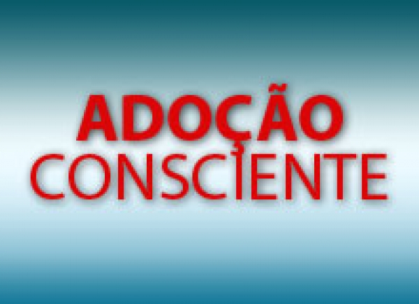 3ª edição do curso para postulantes à adoção acontece nesta segunda e terça