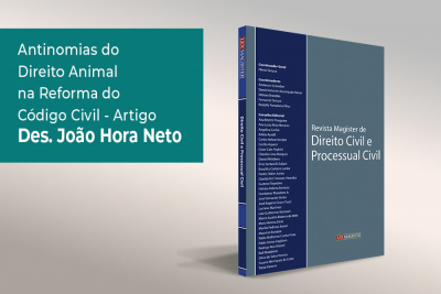 Des. João Hora publica artigo em revista nacional de Direito Civil e Processual Civil