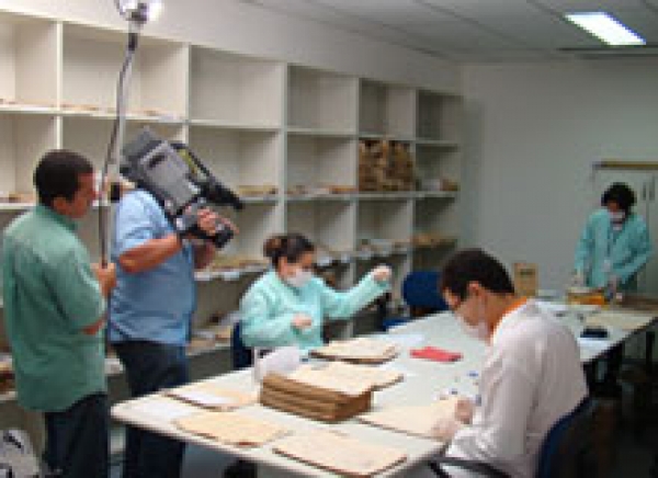 Arquivo Judiciário é o tema do programa Terra Serigy desse sábado