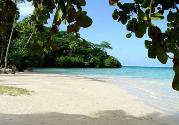 TJSE parabeniza servidores que aderiram ao Programa Justiça Contra o Tabagismo 