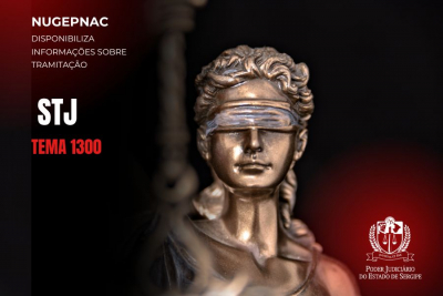 Conta individualizada do Pasep: STJ julga tema 1300