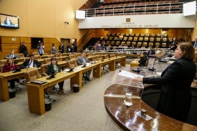 Paz em Casa: Juíza Coordenadora fala aos deputados sobre projetos para combater a violência contra a mulher e o feminicídio