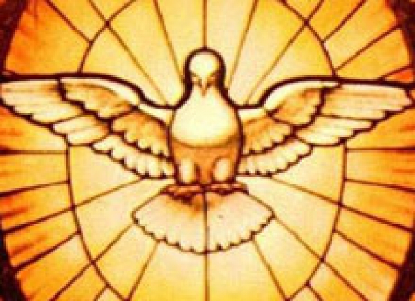 Missa de Sétimo Dia: José Vieira dos Santos