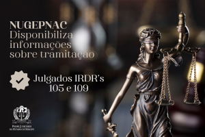 TJSE disponibiliza informações sobre julgamento dos Incidentes de Resolução de Demandas Repetitivas (IRDRs) 105 e 109