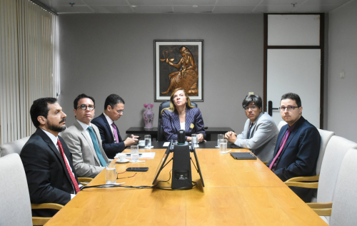 Comitê de Acompanhamento do Plano de Gestão realiza segunda reunião de 2026