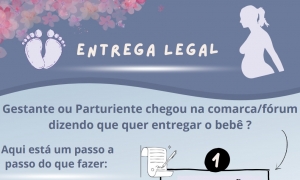 Entrega Legal: CIJ e Corregedoria apresentam a juízes material sobre fluxo de trabalho