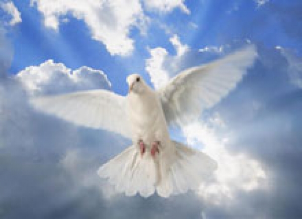 Missa de 7º Dia: servidora Maria da Conceição Feitosa Ferreira