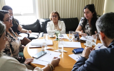 Comitê Estadual de Saúde debate atendimento às demandas de saúde