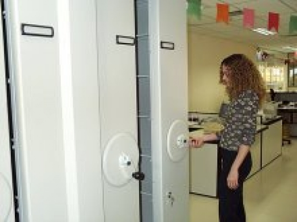 TJ promove reestruturação administrativa.