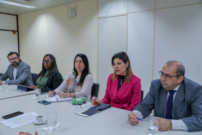 GMF discute atendimento ao Plano Pena Justa e investimento em monitoramento eletrônico