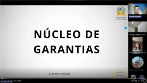 TJSE realiza reunião virtual para apresentar o Núcleo de Garantias