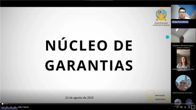 TJSE realiza reunião virtual para apresentar o Núcleo de Garantias
