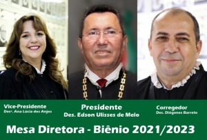 Pleno elege Mesa Diretora para o biênio 2021/2023
