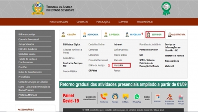 Servidores e magistrados: comprovação da vacina contra Covid-19 até 25/10