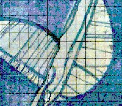 Convite para Palestras e Instalação da Central