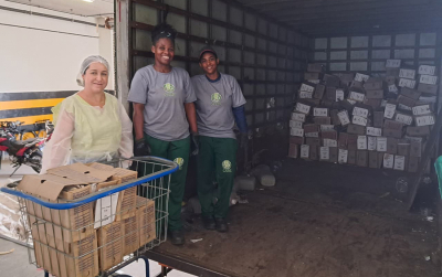 Arquivo Judiciário promove eliminação sustentável de mais de quatro mil processos judiciais