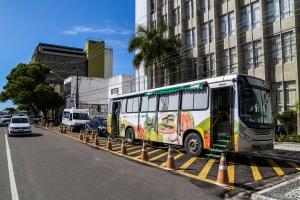 No Palácio da Justiça: feira de orgânicos disponibiliza produtos sem agrotóxicos para magistrados e servidores