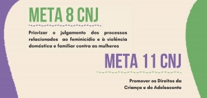 Audiência e Consulta Pública foram realizadas para discutir as Metas Nacionais 8 e 11 do CNJ