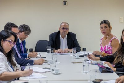 Grupo de Monitoramento do Sistema Carcerário e Rede Trans conversam sobre o Projeto Travessia