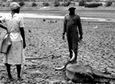 Campanha arrecada donativos para sertanejos