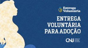 CNJ realizará webinário sobre Entrega Voluntária na terça-feira, 27/01