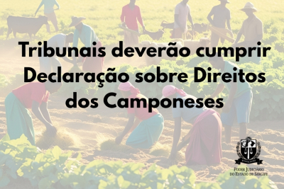 Tribunais deverão cumprir Declaração sobre Direitos dos Camponeses