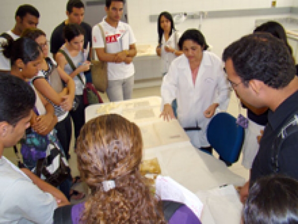 Arquivo Judiciário torna-se referência para outros Arquivos