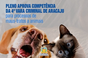 Pleno aprova competência da 4ª Vara Criminal de Aracaju para processos de maus-tratos a animais