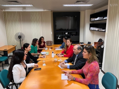 Reunião entre Nupemec e Nupejure discute ações e projetos