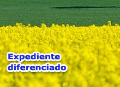 Expediente do dia 27 será das 7h às 11h